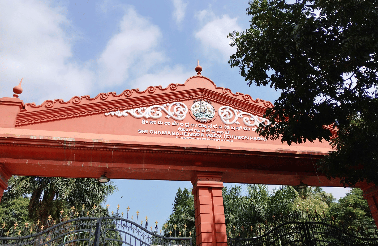 pexels-shikhasingh-19555932