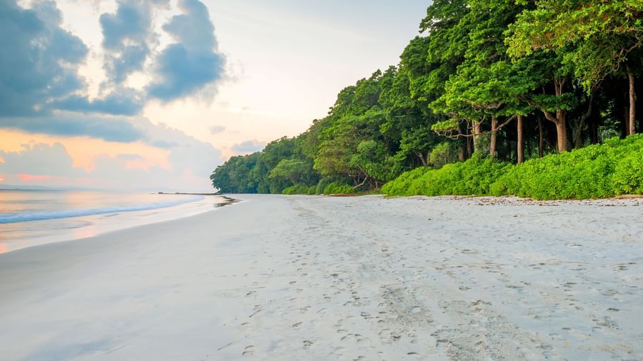 Beachside location showcasing water body on on side and sandy beach. Beyond it there is bunch of trees.
