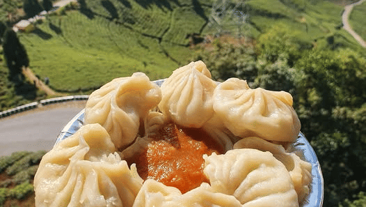 481797721 1159044208927712 5572226038139706755 n