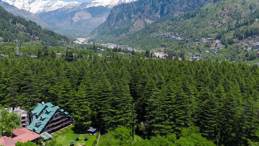 aerial view of facade of Bedzzz Xclusiv Baikunth, Manali with pine trees and mountains in the background