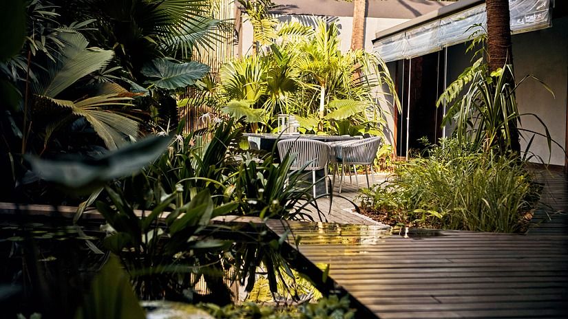Villa in Palms by Vescapes, Luxury Getaways in North Goa 10