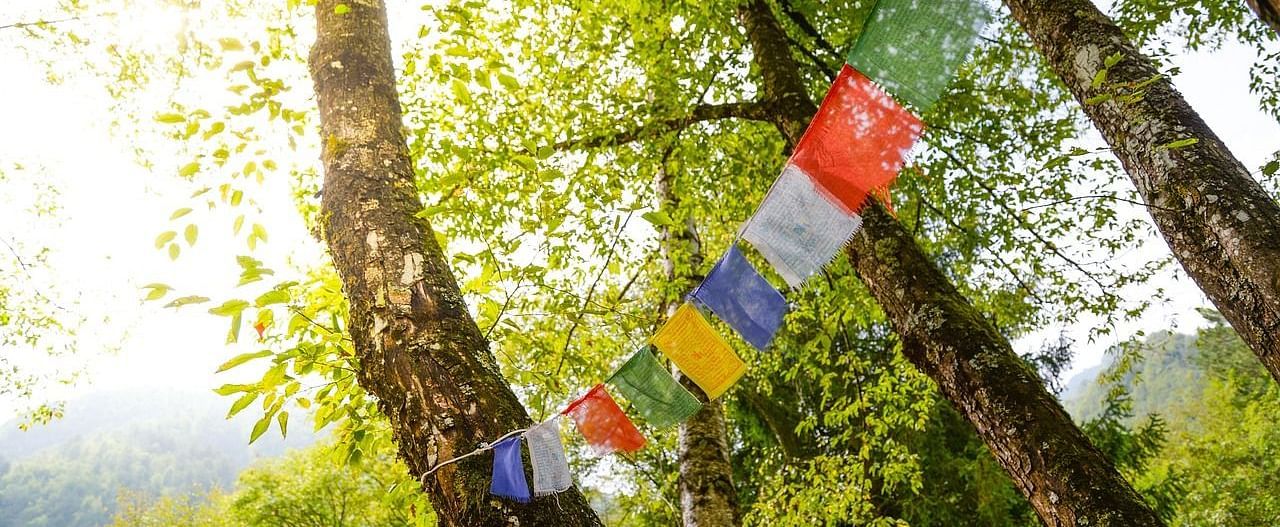 Prayer flags hanging between trees with sunlight filtering through the leaves.
