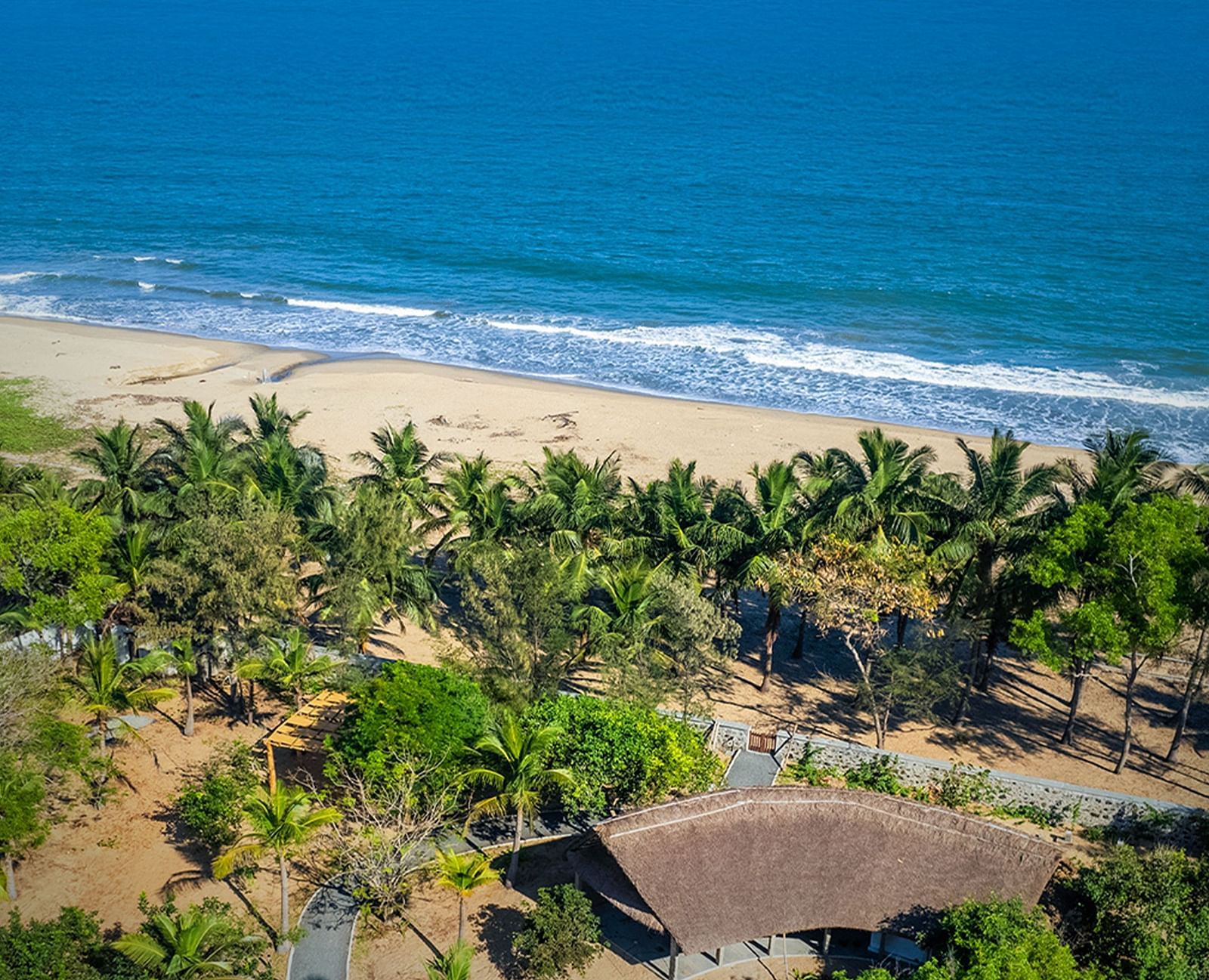 Scenic view of a sandy beach with palm trees and gentle waves at Mango Hill Shallow Beach Resort, ECR Pondicherry.