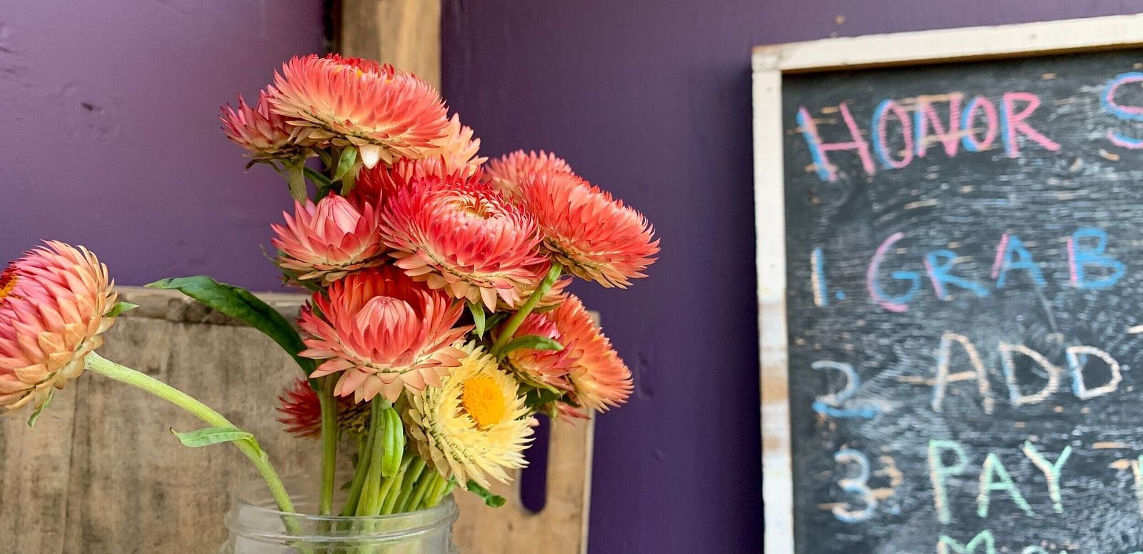 A bunch of strawflowers in a jar next to a chalkboard with instructions and a wall  in the background.