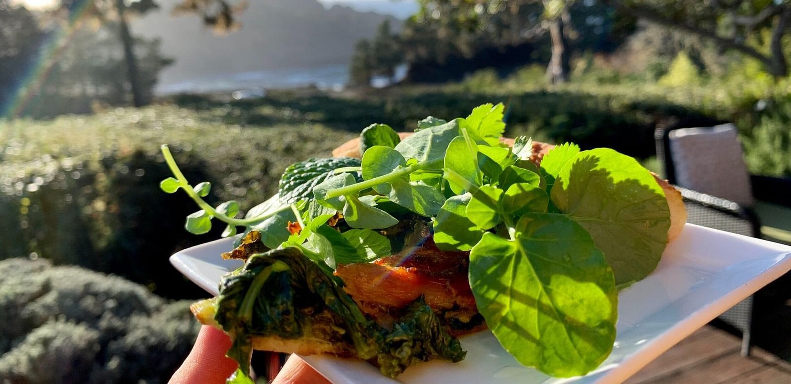 A hand holds a plate of food garnished with greens, with a scenic view of trees and water in the background.
