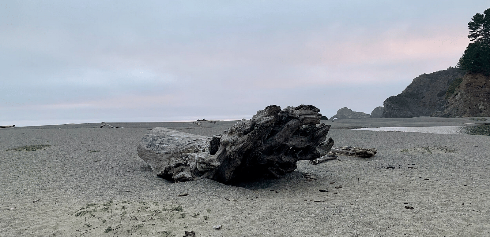A large piece of driftwood rests on a sandy beach under a cloudy sky, with a hint of rocky cliffs in the distance.