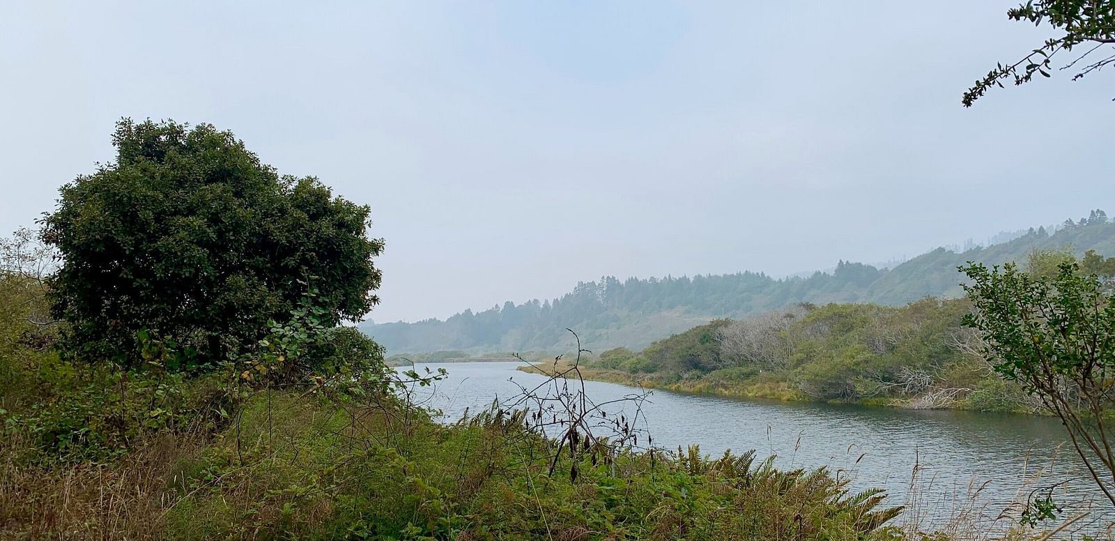 A wide river flows through a marshy landscape with trees and hazy hills in the background under a cloudy sky - Brewery Gulch Inn & Spa.