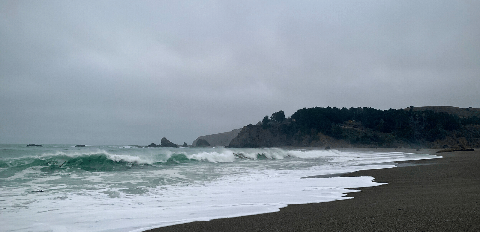 Waves roll onto a dark, pebbled beach under a gray sky, with a tree-covered bluff in the distance.