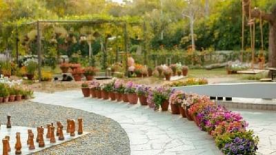 A paved path with potted plants and trees in the background at Karma Chalets.