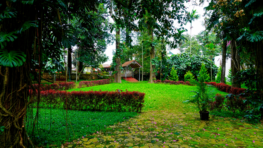 A path leading across a grassy area surrounded by dense trees and tropical greenery at DNC Shevaroys Resort & Spa.