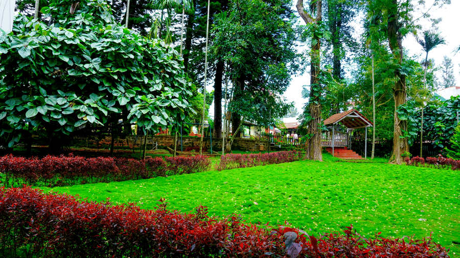 A garden view at DNC Shevaroys Resort & Spa showing a vibrant green lawn framed by dark red hedges and a forest backdrop.