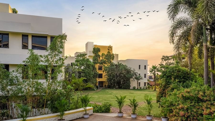 33 Courtyard Lawn