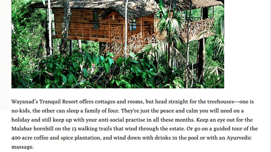 A travel article feature detailing the peaceful nature trails and plantation treehouse stays at Tranquil Resort, Wayanad.