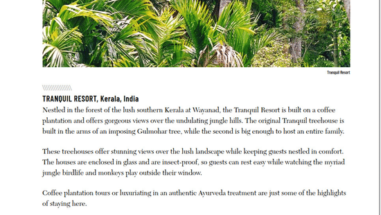 A travel article featuring the scenic forest views and treehouse accommodations available at Tranquil Resort, Wayanad.