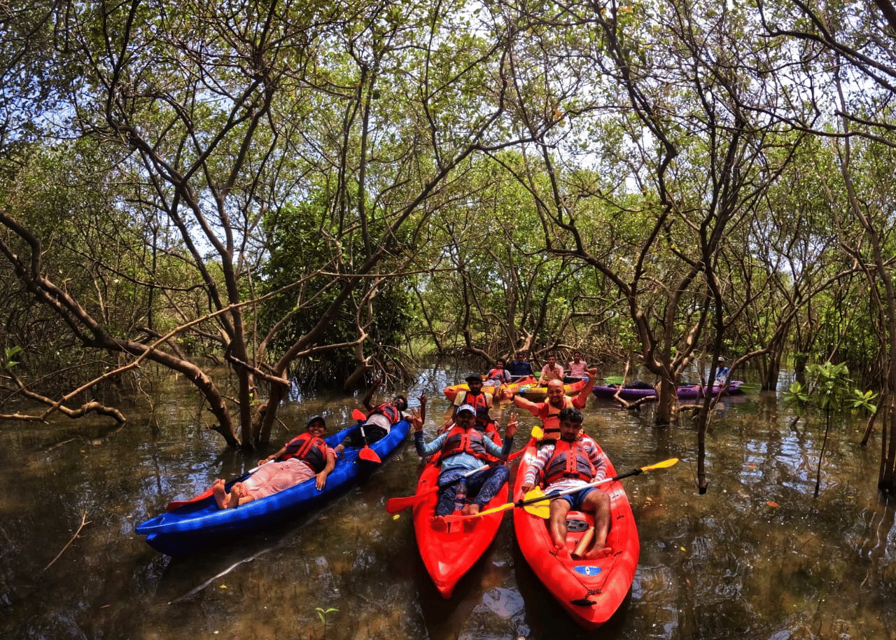 A group of people in red and blue kayaks paddling through a dense mangrove forest with still waters at Paradise Lagoon Resort, Udupi.