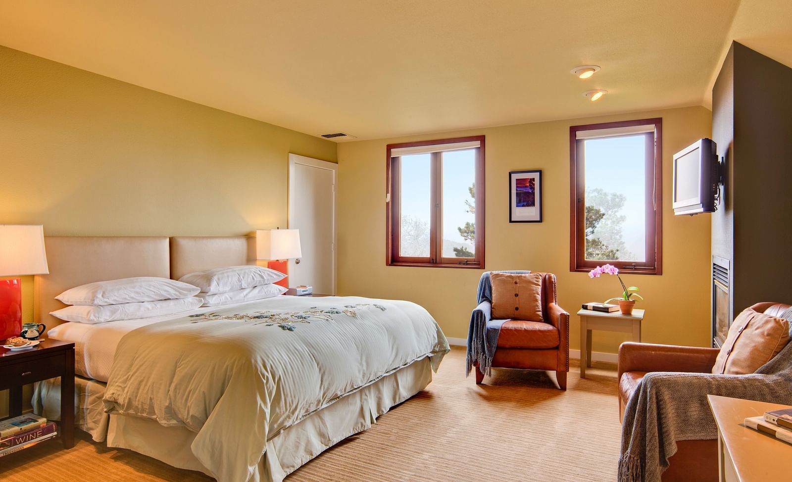 A peaceful bedroom setting with a double bed, a TV and windows with views, offering a perfect retreat for relaxation and comfort - Brewery Gulch Inn & Spa