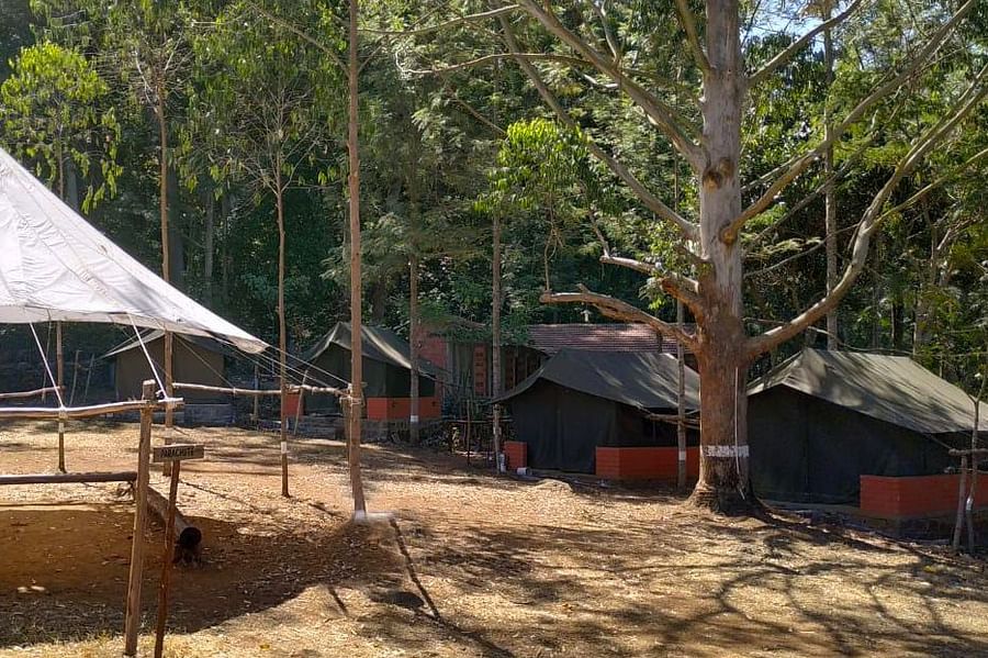 alt-text Let s Camp Yercaud tents 1