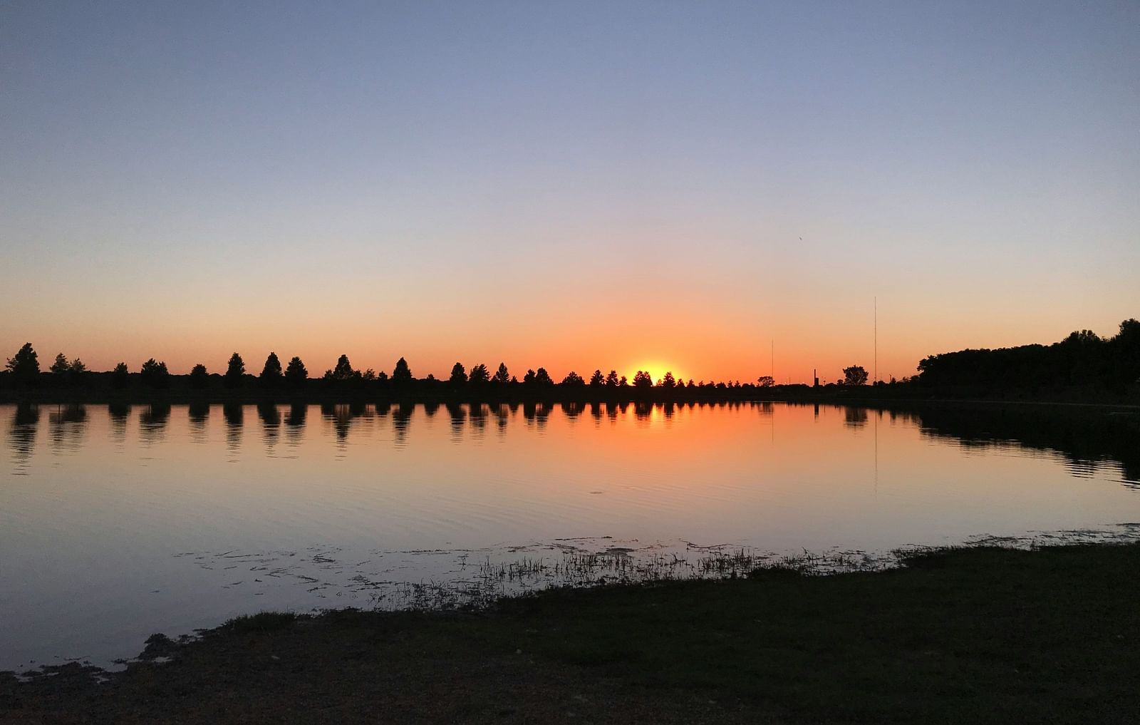 Silhouette of trees reflected in a still lake at sunset with a clear horizon and blue sky.