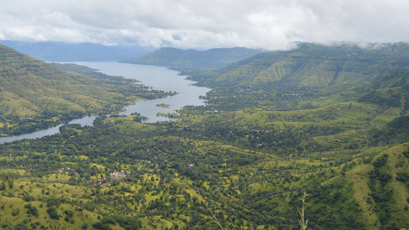 A river passing through lush forests with white clouds in the background