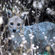 A wild jackal or fox peering through dry foliage and wild plants in the forest.
