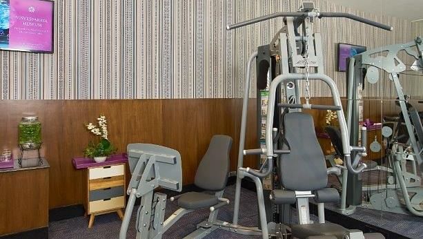A modern, well-equipped gym with cardio machines, weightlifting equipment, and free weights.