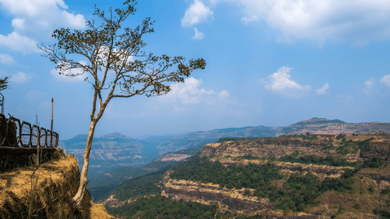 An aerial view of layered rocky hills and valleys under a clear sky, with a tree growing near the edge of a cliff and a railing above it.