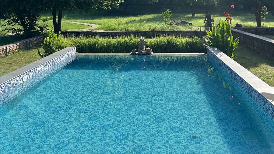 16-Pool - Evening Shot-7