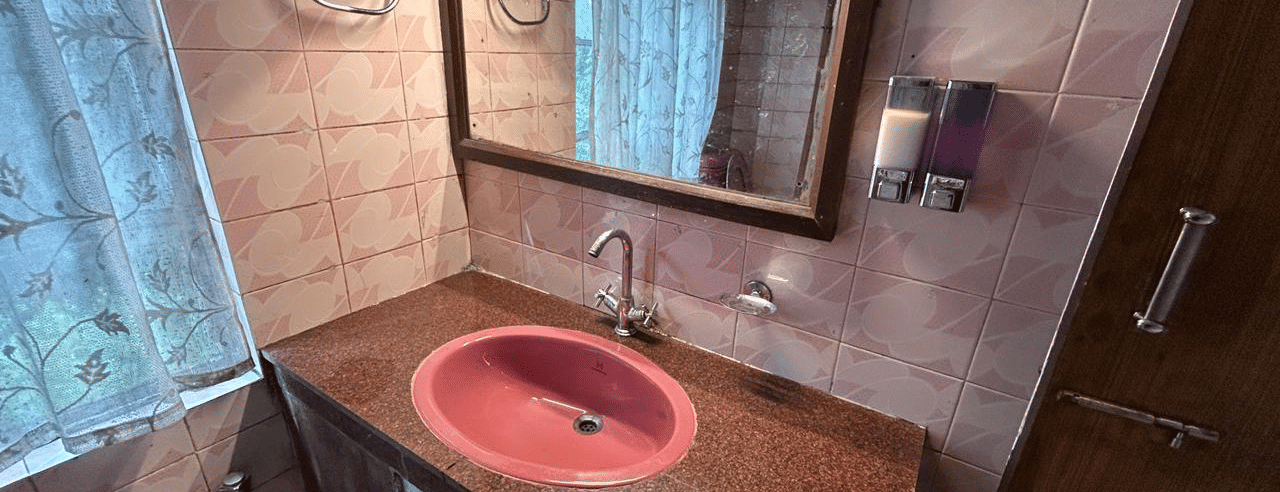 Bathroom with a pink sink, mirror, toiletries shelf, and pink tiled walls at Hotel Dolphin Darjeeling.