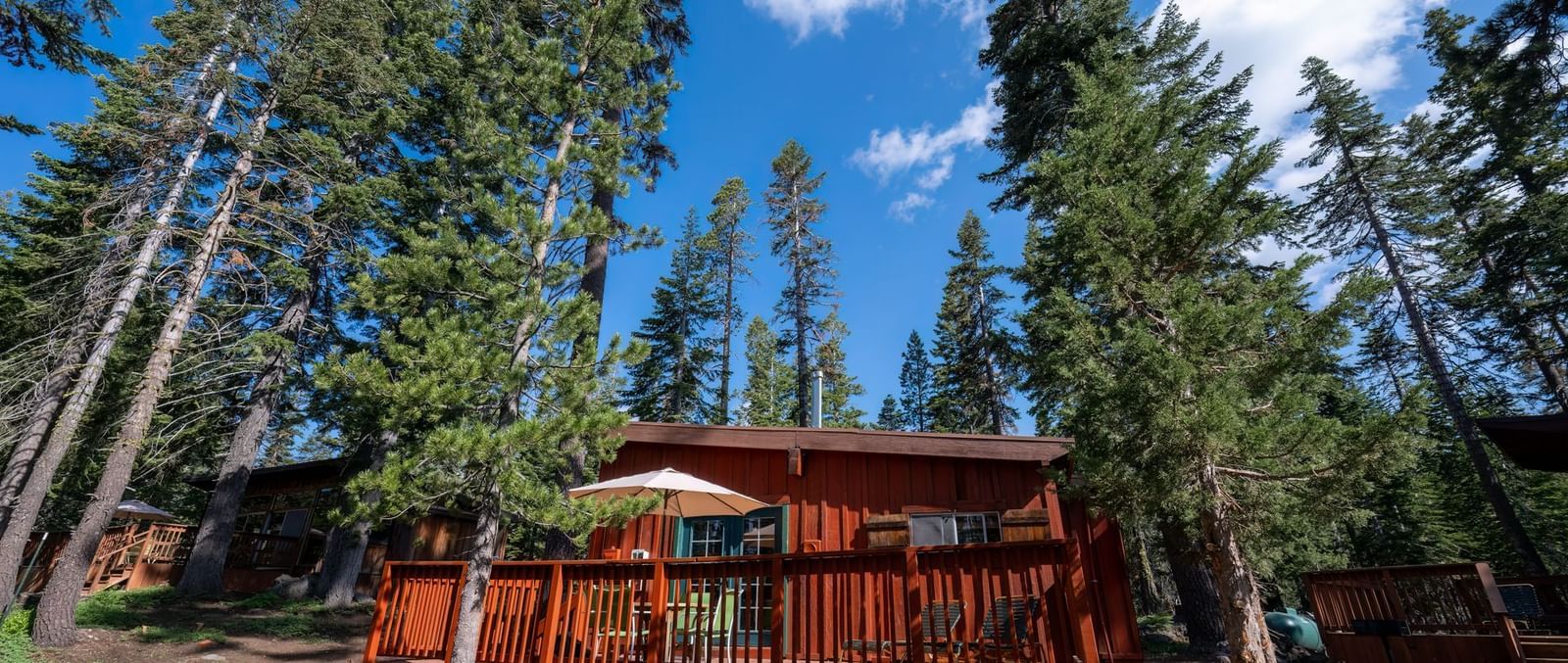Scenic forest cabin exterior with red wood siding surrounded by trees at Kit Carson Lodge.