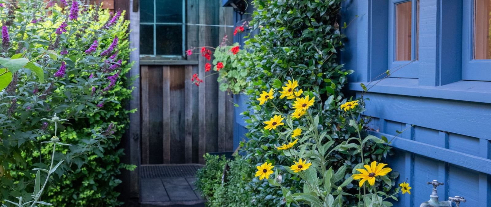 A quaint garden path lined with lush green plants and yellow flowers, leading to a blue building at The Tallman Hotel.