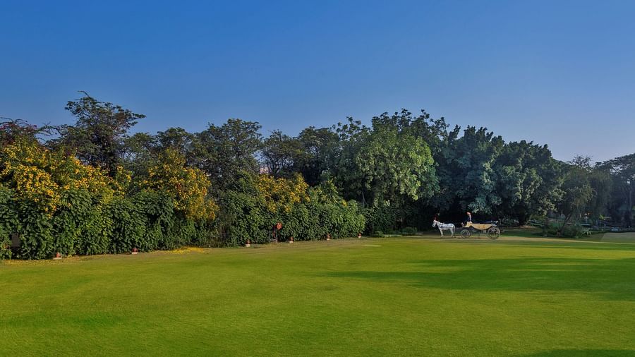 Horse-drawn carriage on a vast green lawn bordered by trees under a clear blue sky - Heritage Village Resorts & Spa.