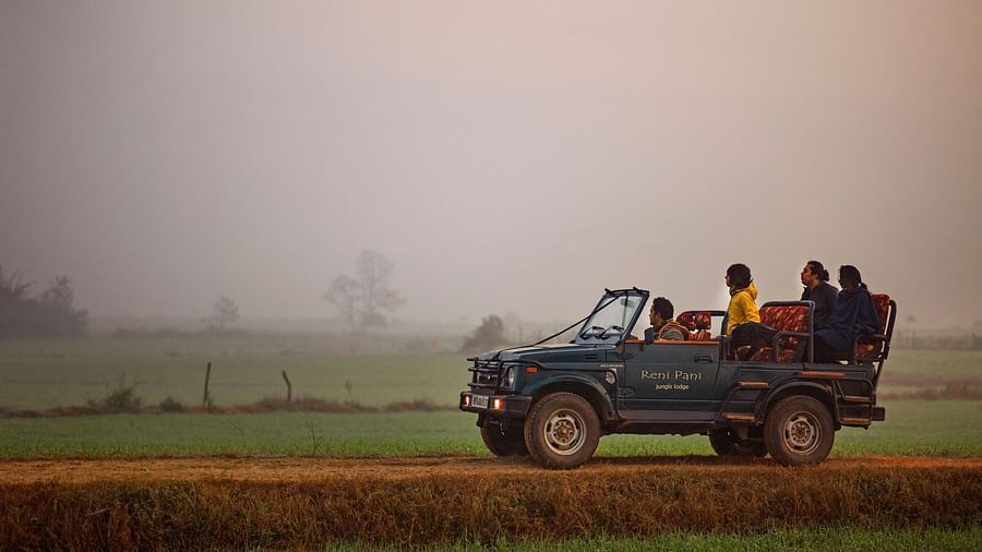 Jeep Safari Reni Pani Jungle Lodge