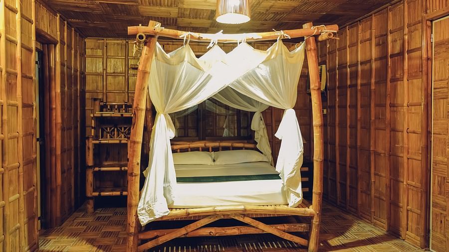 Standard Bamboo Suite 3