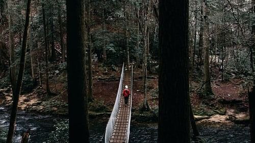 a person crossing a narrow bridge over a river in the woods