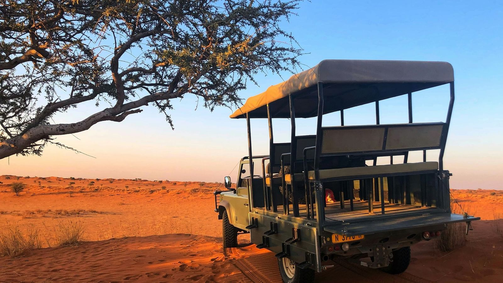 An open jeep parked under a large tree in a dry safari landscape.