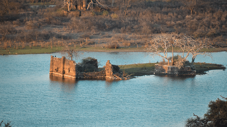 The ruins of the Ranthambore National Park in the middle of a lake.