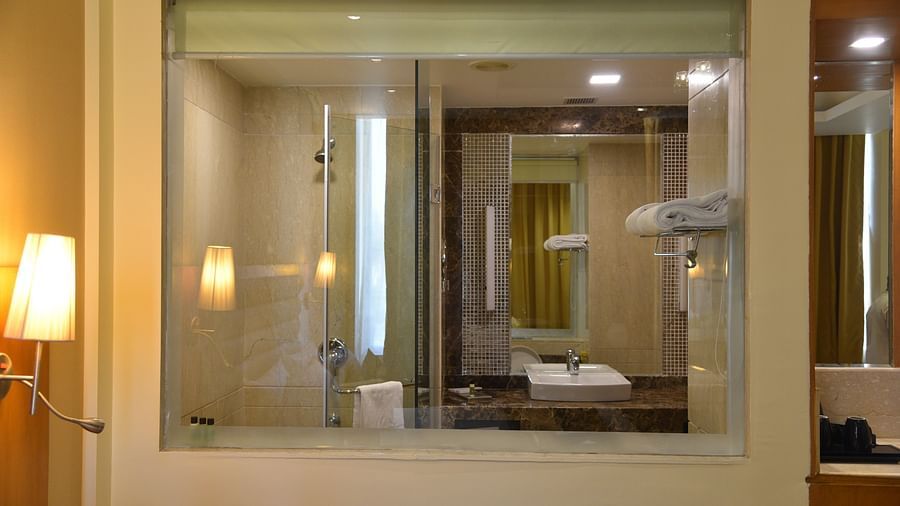 Suites in Delhi, OPULENT HOTEL BY FERNS N PETALS, Stay In Delhi 12