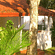 Young Island Resorts - Coorg Coorg Young Island Resorts Coorg 3