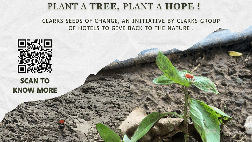 Poster for Clarks Group of Hotels' 'Seeds of Change' initiative, featuring a young plant and a QR code for more info.
