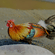 A colourful male red junglefowl with golden hackles, bright red comb, and a dark arched tail walking on sandy terrain.