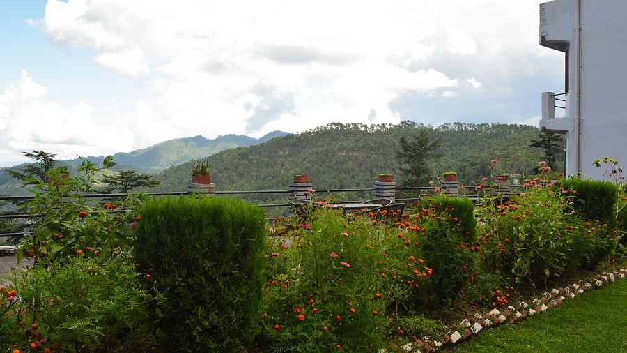 Modern building surrounded by lush greenery and a well-maintained garden.