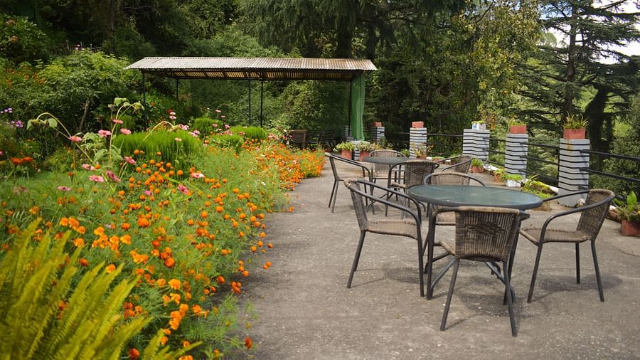 Outdoor dining area with tables and chairs surrounded by colorful flowers and greenery.