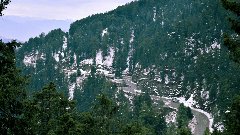 A view from afar of the highway leading up to Kufri with pine trees and mountains surrounding the highway.