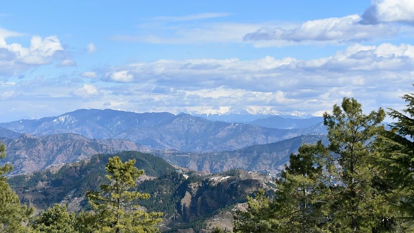 kufri