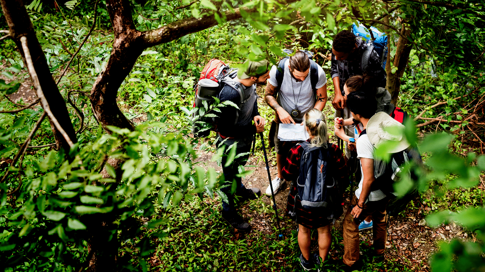 Several backpackers pause on a wooded path, huddled around a map as they plan their route amid lush greenery.