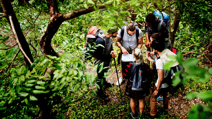 A group of hikers with backpacks gathers on a forest trail, studying a map together beneath dense green foliage.