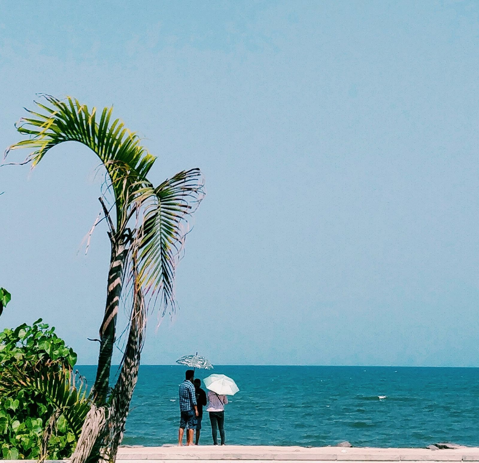 A group of people standing near a beach in Pondicherry holding an umbrella