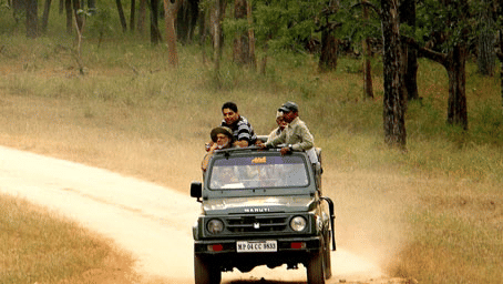 Safari at Kanha near Infinity Resorts 1