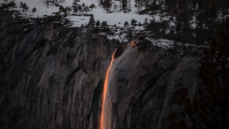 Firefall phenomenon in Yosemite, where a glowing stream of water illuminated by sunset light cascades down a granite cliff, surrounded by snow and pine trees.