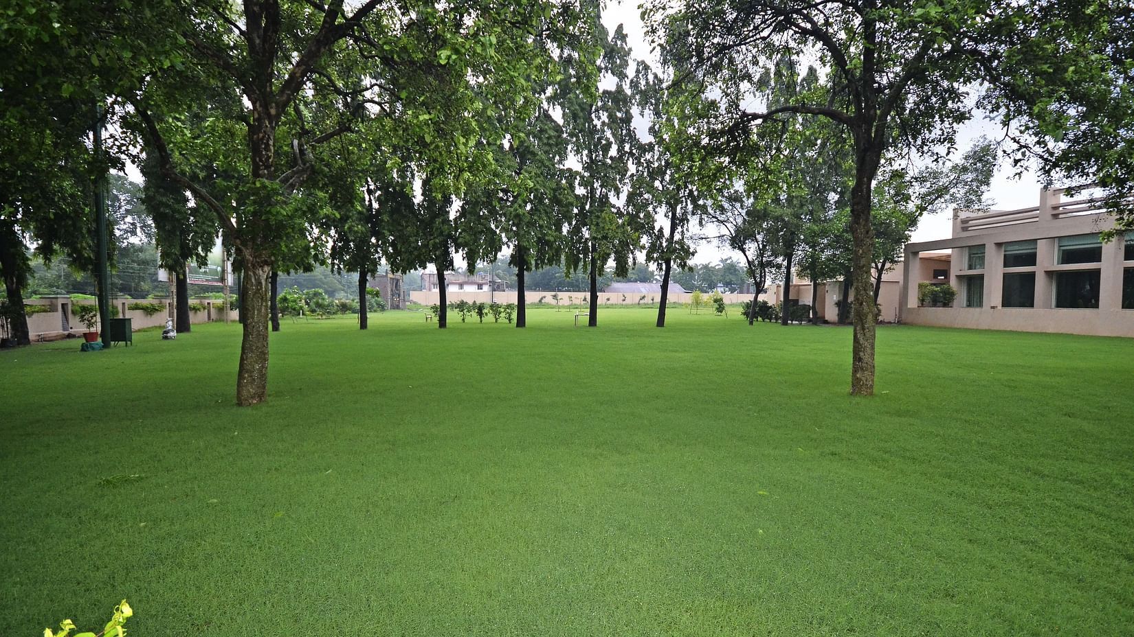 LAWN 1